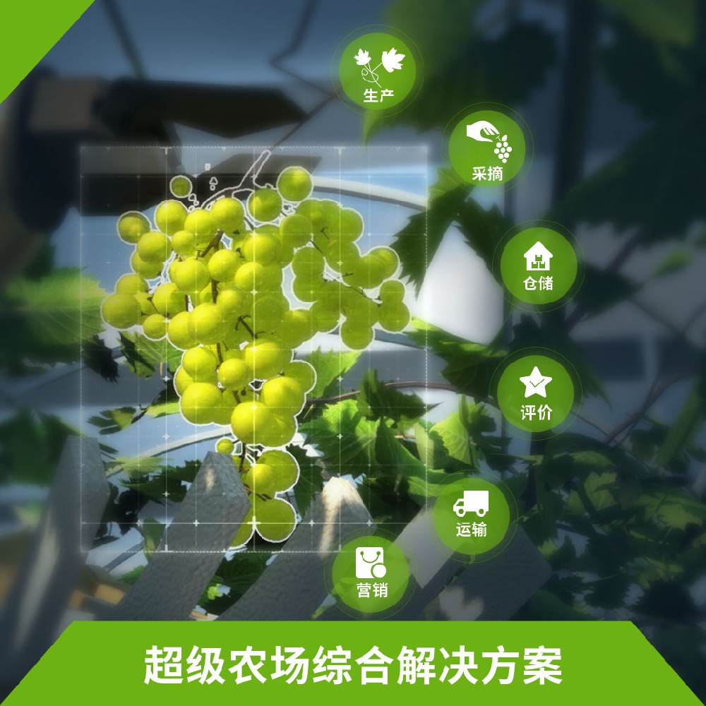 超級農(nóng)場建設方案