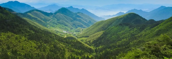 智慧護(hù)林有妙招，看太子山如何用科技守護(hù)森林
