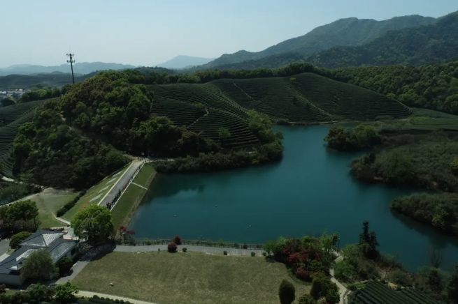 建設(shè)智慧生態(tài)茶園，托普云農(nóng)為西湖龍井茶“保駕護(hù)航”