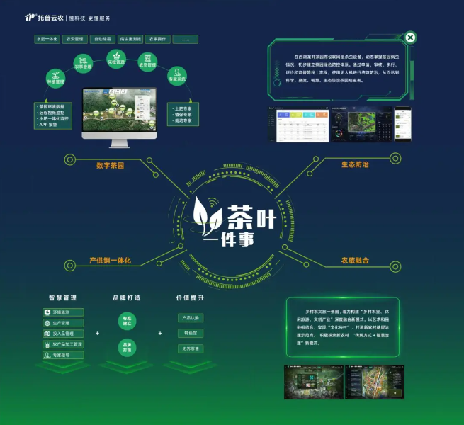 “數(shù)字”賦能茶產(chǎn)業(yè)，“茶葉一件事”續(xù)寫中國(guó)茶發(fā)展新模式