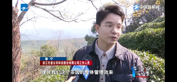 春茶開采正當(dāng)時(shí)！揭秘托普云農(nóng)如何用科技“制”出一杯數(shù)字好茶